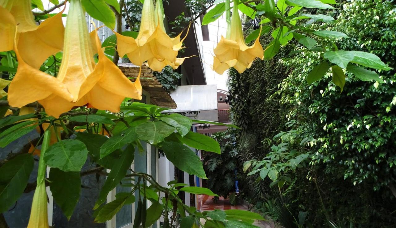 Hotel Jardines Del Carmen Сан-Кристобаль-де-Ла-Касас Экстерьер фото